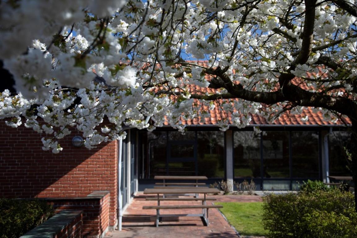 森讷堡大宿舍酒店 Sønderborg 外观 照片